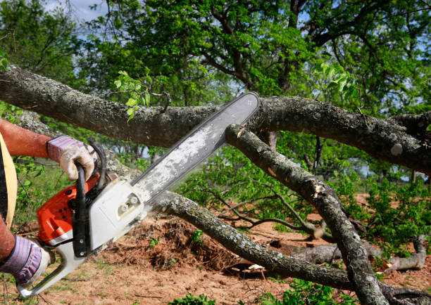 Mulching Services in Weaverville, NC